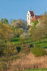 Horn 0138-2020, Streuobstwiese vor der Kirche