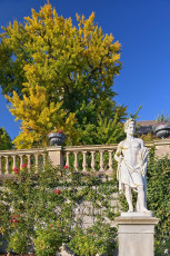 Mainau 2047-2020, Herbst im Rosengarten