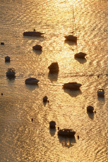 Mannenbach 0073-2020, Ankernde Boote im Gegenlicht