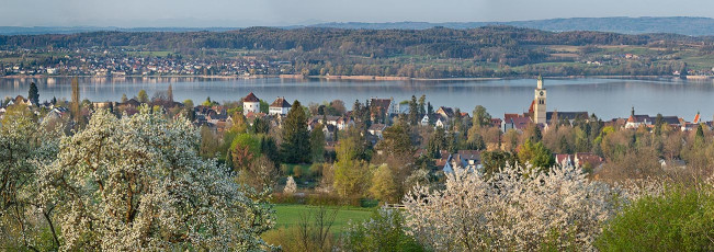 Überlingen 4052-2020 PANO617, Obstblüte vor Stadt und Münster