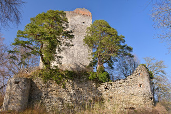 Bodman 0664-2020, Burgruine Altbodman