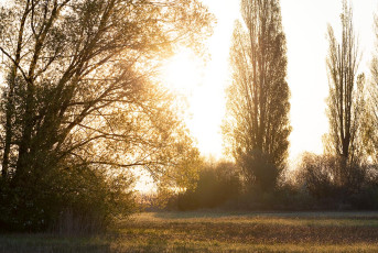 Gundholzen 0015-2020, Morgendlicher Lichtdurchbruch am Seeufer