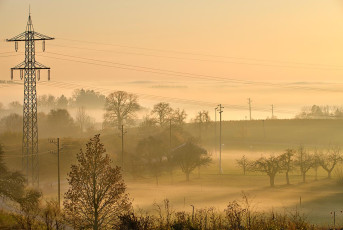 Hödingen 0275-2020, Streuobstlandschaft im Abendnebel