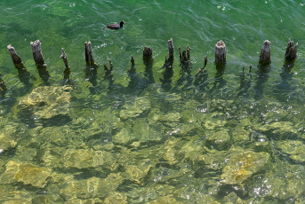 Lindau 1805-2020, Wellenbrecher vor der Mole