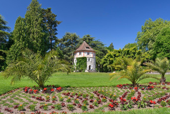 Mainau 1976-2020, Blumenbeet vor dem Gärtnerturm