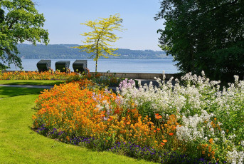 Mainau 1986-2020, Blumenpracht am Ostufer