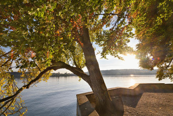 Mainau 2073-2020, Herbst am Südufer