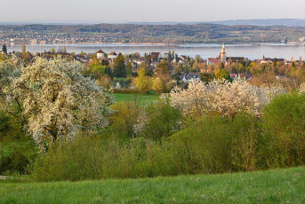 Überlingen 4035-2020, Frühlingsmorgen über der Stadt