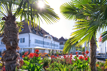 Überlingen 4142-2020, Palmen und Blumen vor der Greth