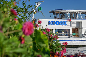 Überlingen 4233-2020, Blumenbeet und MS Bodensee