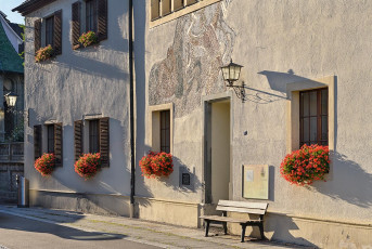 Überlingen 4257-2020, Geranien neben Rathaus