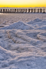 Altnau 0153-2021, Eisformationen am Ufer und Pfähle