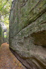 Überlingen 4476-2021, Maiengericht im Herbst