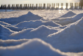 Altnau 0208-2021, Eisformationen und Pfähle im Gegenlicht