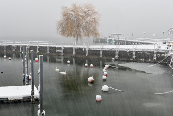 Hagnau 1244-2021, Schneegestöber am Westhafen
