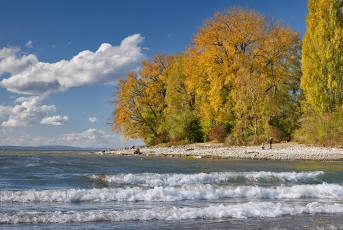 Langenargen 0702-2021, Herbst an der Argenmündung
