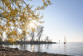 Lindau 1902-2021, Herbst an der Leiblachmündung