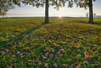 Lindau 1926-2021 HDR, Herbstblätter an der Leiblachmündung