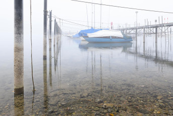 Ludwigshafen 0468-2021, Jachthafen im Herbstnebel