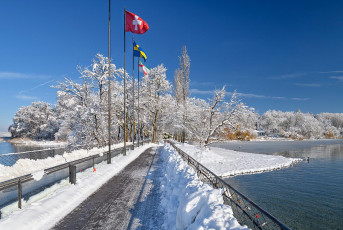 Mainau 2139-2021, Mainaubrücke im Schnee