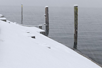Meersburg 1887-2021, Dalben vor der Hafenmole im Schneetreiben