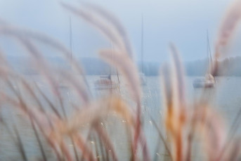 Wangen 0100-2021 ICM, Schilf + Boote