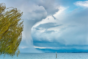 Hagnau 0773-2012, Regenwolke und Weidenäste im Wind