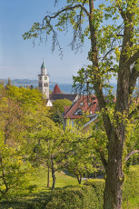 Überlingen 1435-2011, Frühlingshafter Blick von Uhlandshöhe z