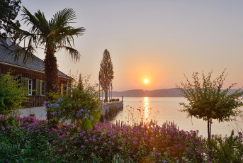 Mainau 0702-2012, Palme und Hafeneinfahrt im Sonnenaufgang