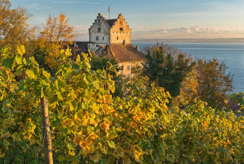 Meersburg 1063-2012, Burg und Weinberg im Herbst