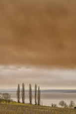 Birnau 0570-2022, Saharasandwolken über Weinberg und See