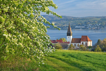 Dingelsdorf 0371-2022, Obstblüte vor Kirche St. Nikolaus