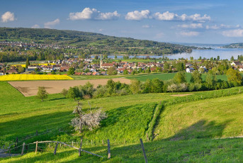 Eschenz 0019-2021, Unterseefrühling vor Eschenz und Öhningen