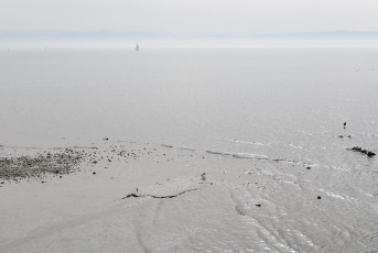 Friedrichshafen 2044-2022, Saharastaub über dem See