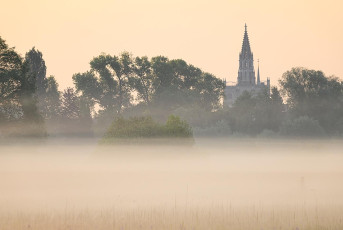 Konstanz 2009-2022, Münster und Morgennebel im Wollmatinger Rie