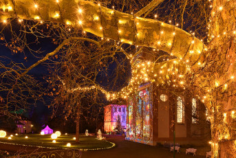 Mainau 2160-2022, Christmas-Garden