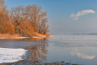 Markelfingen 0056-2022, Seeufer im Winter
