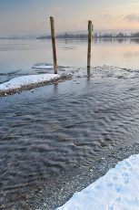 Markelfingen 0076-2022, Seeufer mit Dalben im Winter