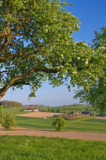 Radolfzell 0631-2022, Frühlingslandschaft bei Homburg