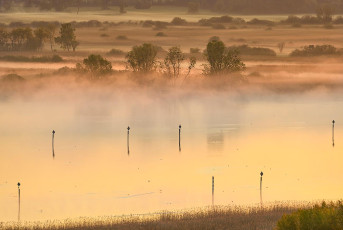 Triboltingen 0029-2022, Morgennebel über dem Wollmatinger Ried