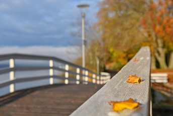 Überlingen 4712-2022, Brücke am Gondelhafen