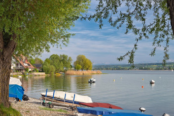 Allensbach 0449-2023, Uferidylle