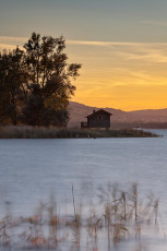Fussach 0043-2023, Bootshaus am Rohrspitz im Abendrot