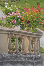 Mainau 2274-2023, Treppe zum Italienischen Rosengarten