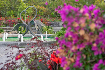 Mainau 2283-2023, Schwanenbrunnen Mediterranterrasse