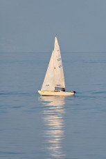Meersburg 2127-2023, Einsames Segelboot