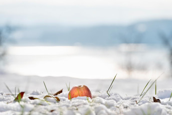 Sipplingen 1304-2023, Winterliches Gegenlicht