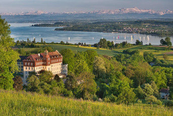 Spetzgart 0050-2012, Frühlingswiese, See, Alpen und Schloss Spe
