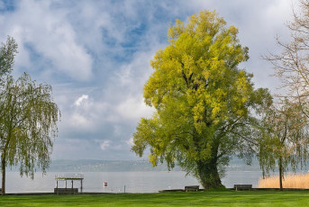 Überlingen 4763-2023, Frühlingsmorgen Strandbad Nussdorf