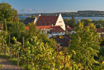 Überlingen 4845-2023, Menzinger Gärten mit Post und Alpen